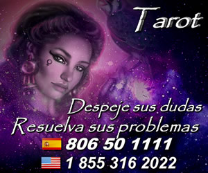 Siner